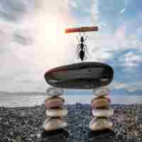 接​口‍测​试​代‍码‌怎‌么​写​